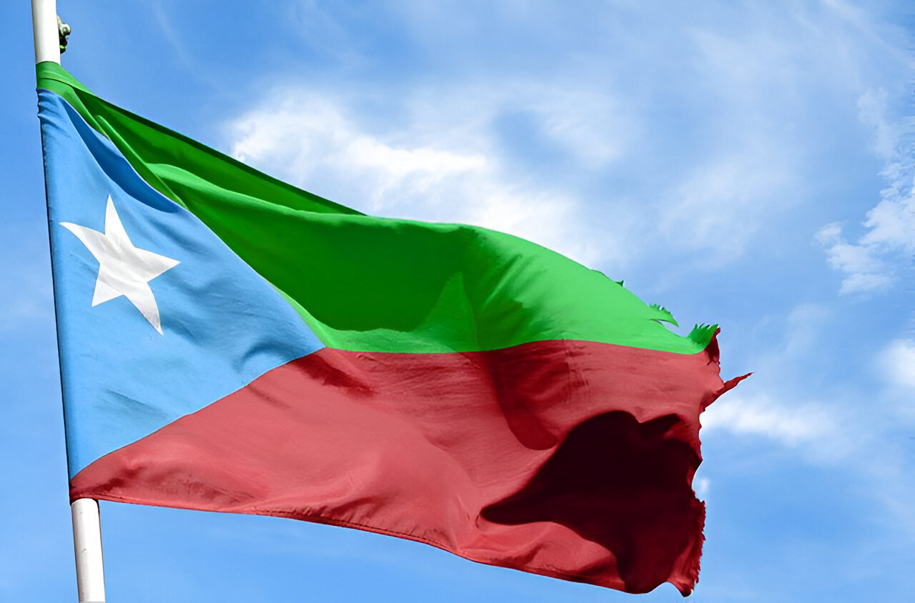 Freedom movement of Balochistan depicted through its flag.